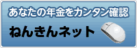 あなたの年金をカンタン確認　ねんきんネット